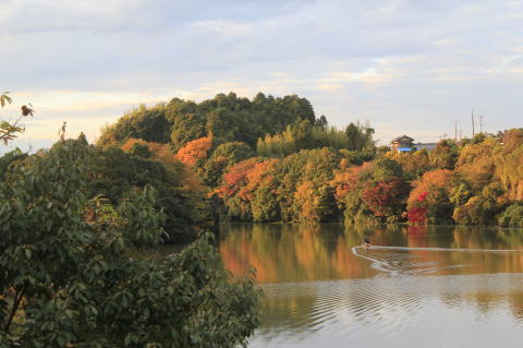 紅葉期の亀山湖畔