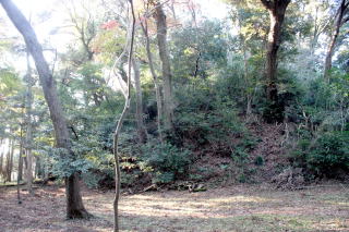 白山神社古墳の写真