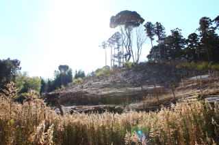 飯籠塚古墳の写真