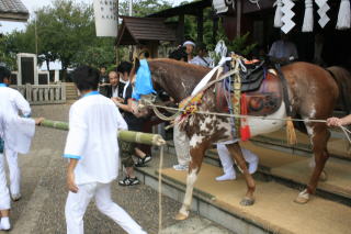 人見神社「神馬」の写真