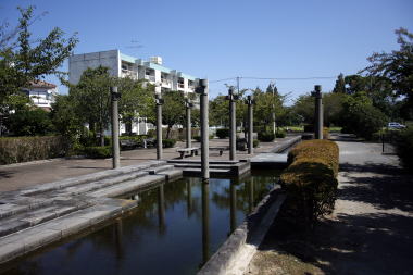 大道沢公園の写真