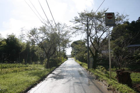 鹿野山道の写真