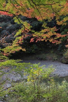 七里川渓谷の写真