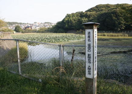 坂田の新関谷池 大関谷池の写真
