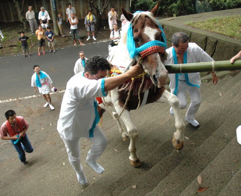 人見神社「神馬」の写真