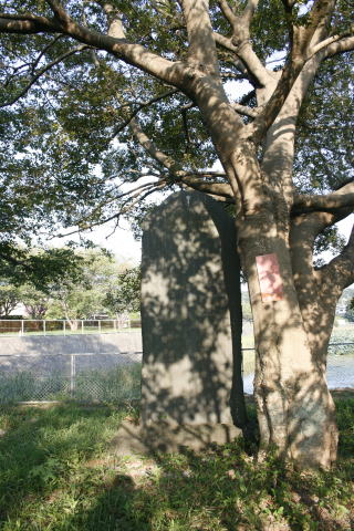 大関谷池付近の記念碑