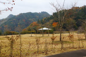 ヅウタ;親水公園　秋