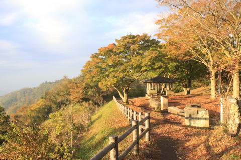 公園風景