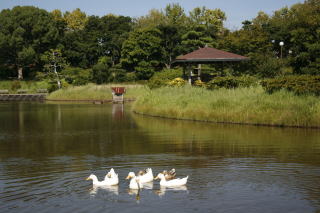 日本庭園