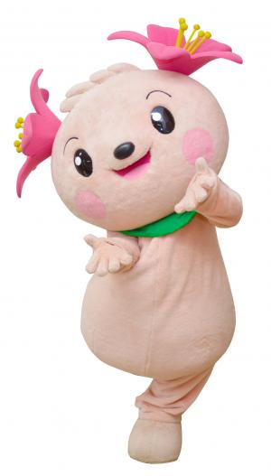 きみぴょんの写真