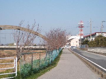 遊歩道