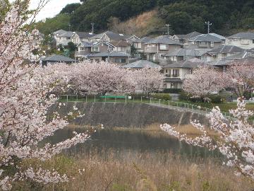 大関谷池