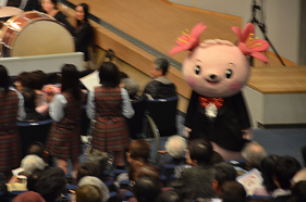 どう、似合ってる？