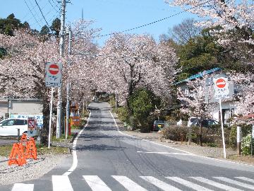 鹿野山道