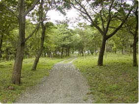 遊歩道