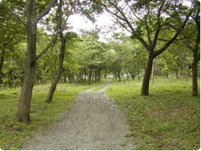 遊歩道