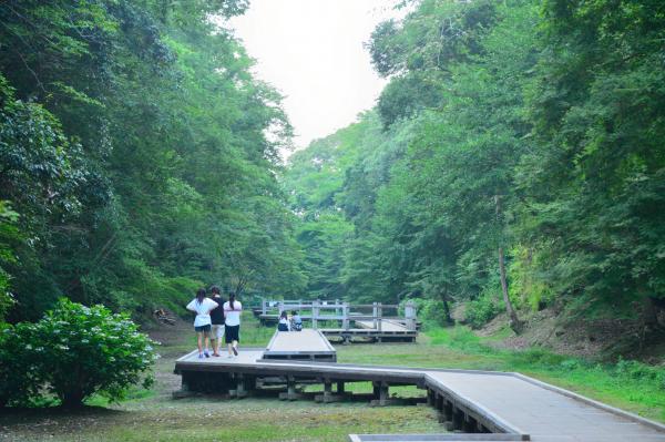 清水渓流広場3の写真