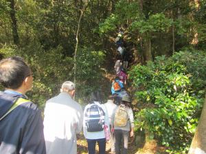 浅間神社の石段を登るところ