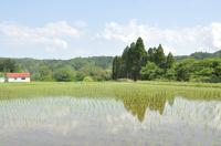 田園風景2(久留里)の写真