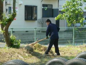 環境美化活動及びサクラソウの栽培