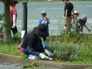 環境美化活動及びサクラソウの栽培